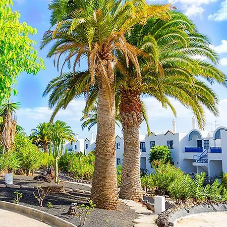 מלון Bakour Lanzarote Splash 4*